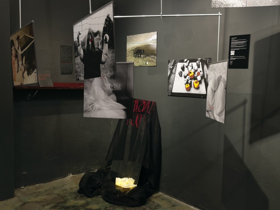 Мастерская художественного проектирования Аллы Мировской. Выставка работ участников.